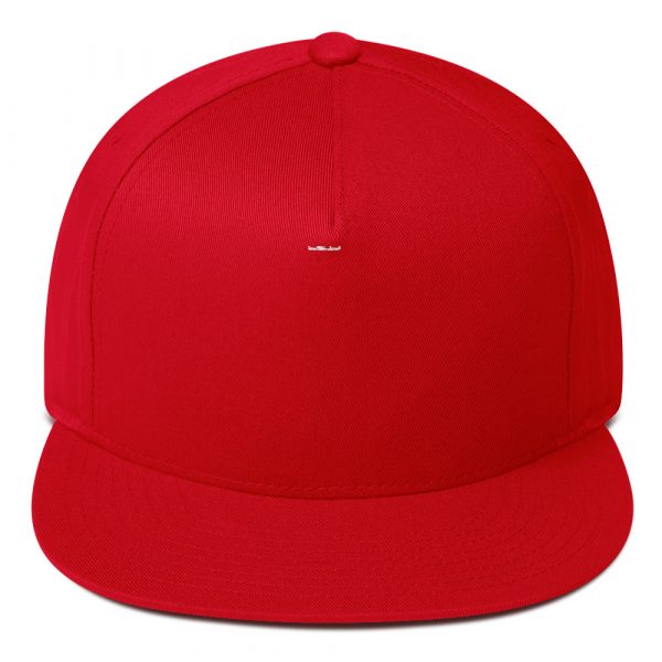 Gorra de visera plana - Imagen 13
